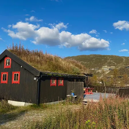 Haukeli Mountain Ferienhaus *